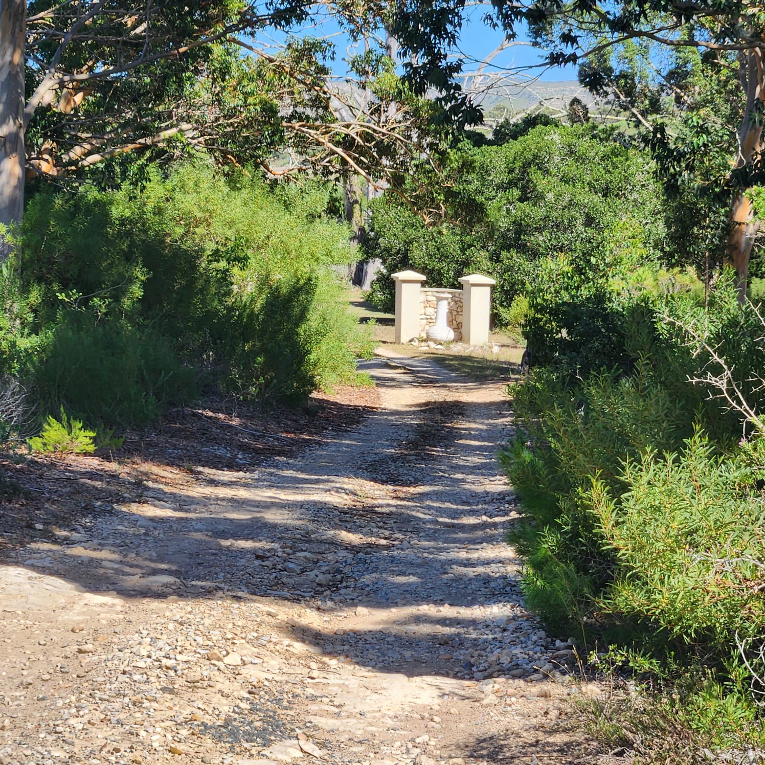 Property 2367471 - Image 6