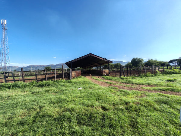 Property 2372307 - Image 22