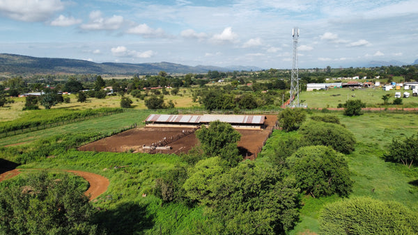 Property 2372307 - Image 4