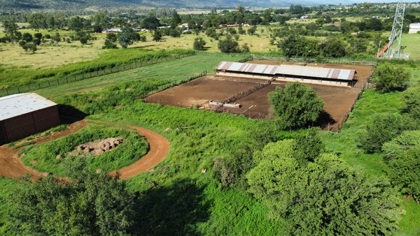 Property 2372307 - Image 5