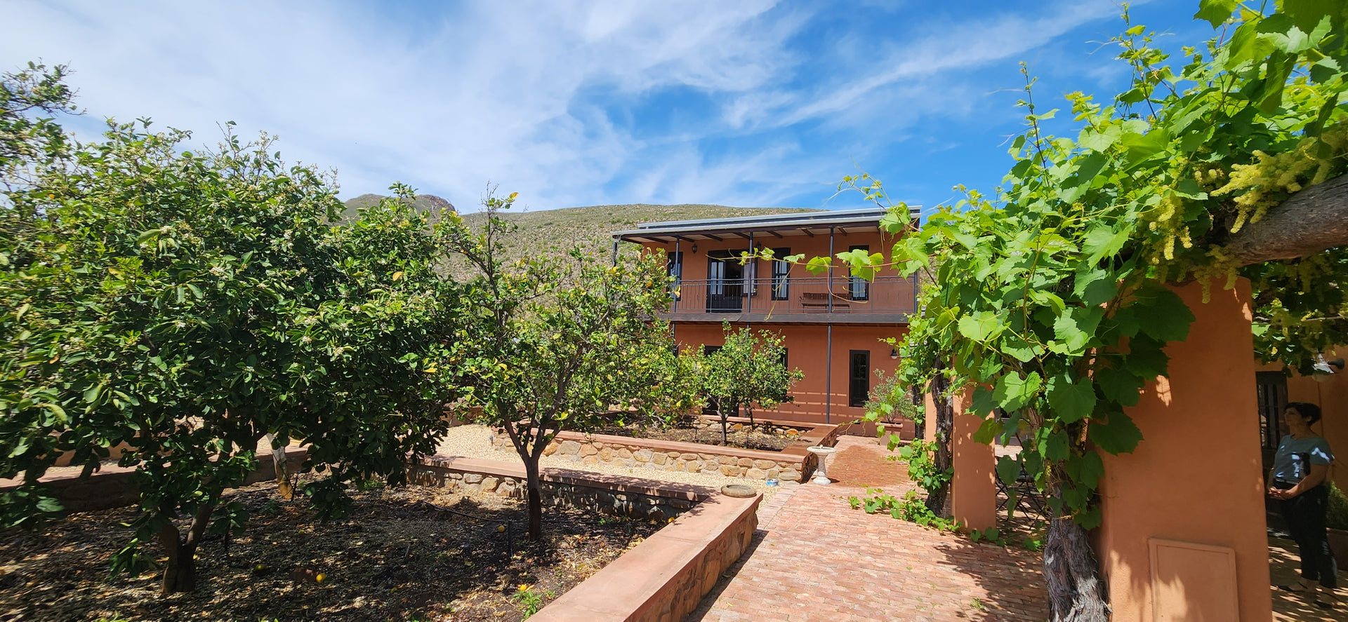 Property 237435 - Image 9