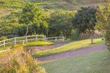 Property 2378012 - Image 5