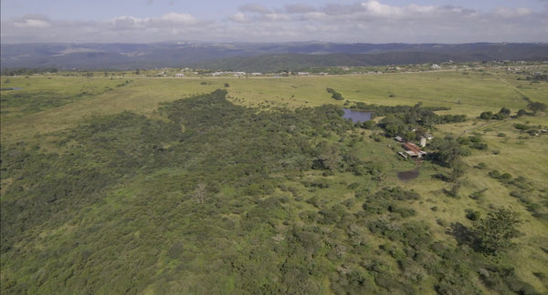 Property 2385979 - Image 2