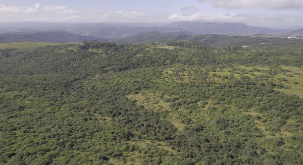 Property 2385979 - Image 3