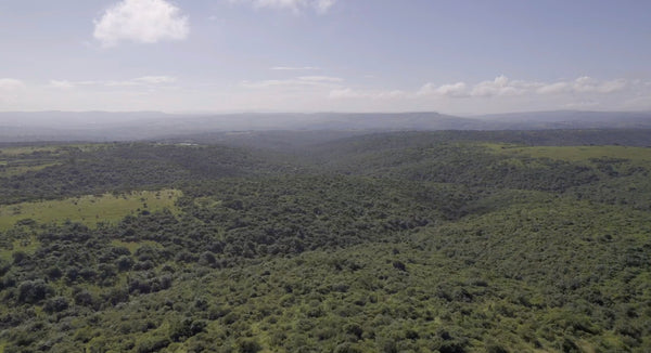 Property 2385979 - Image 5