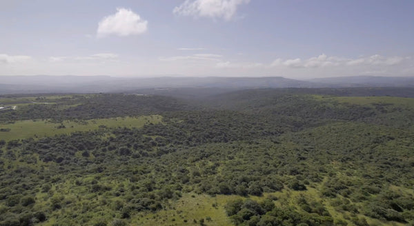 Property 2385979 - Image 7