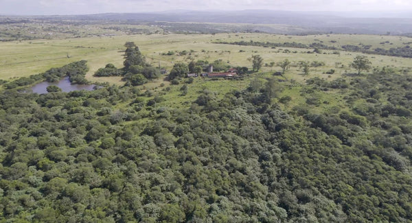 Property 2385979 - Image 8