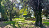 Property 2391848 - Image 1