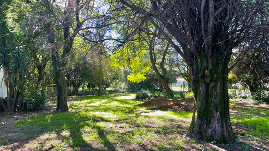 Property 2391848 - Image 1
