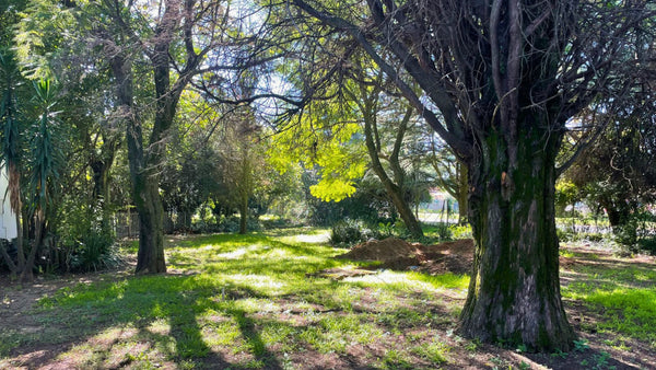 Property 2391848 - Image 1