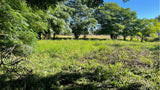 Property 2391848 - Image 11