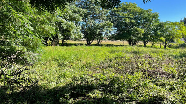 Property 2391848 - Image 11