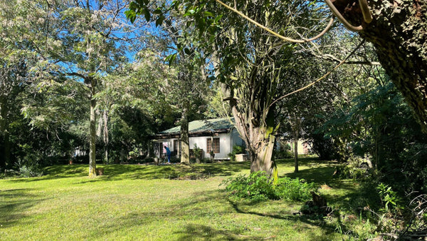 Property 2391848 - Image 13