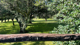 Property 2391848 - Image 14