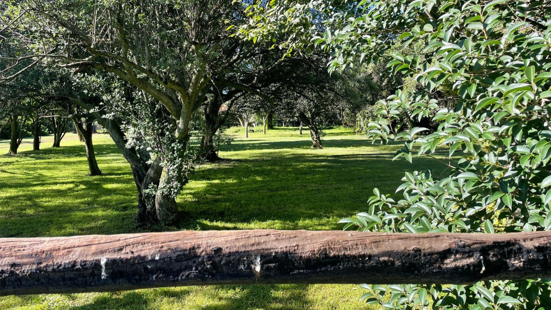 Property 2391848 - Image 14