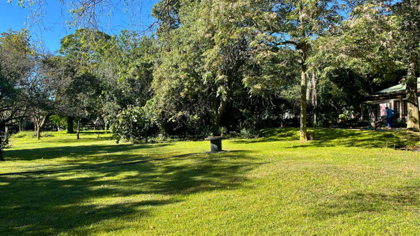 Property 2391848 - Image 3