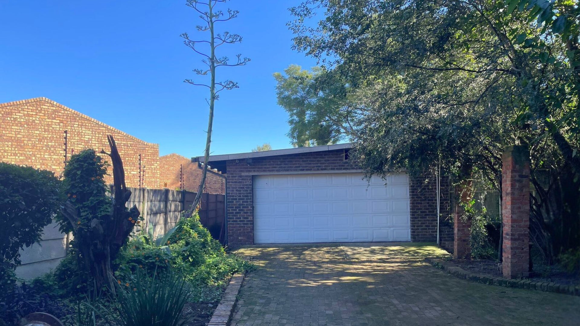 Property 2391848 - Image 4