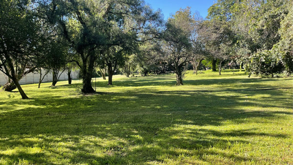 Property 2391848 - Image 6