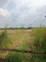 Property 2392030 - Image 10