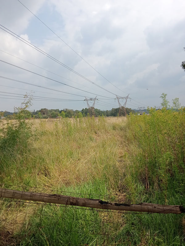 Property 2392030 - Image 10