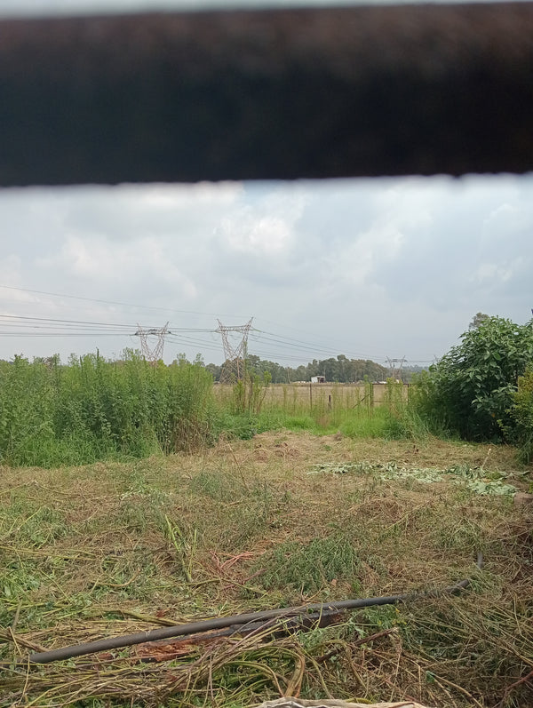 Property 2392030 - Image 7