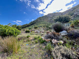 Property 2408679 - Image 3