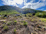 Property 2408679 - Image 5