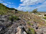 Property 2408679 - Image 9