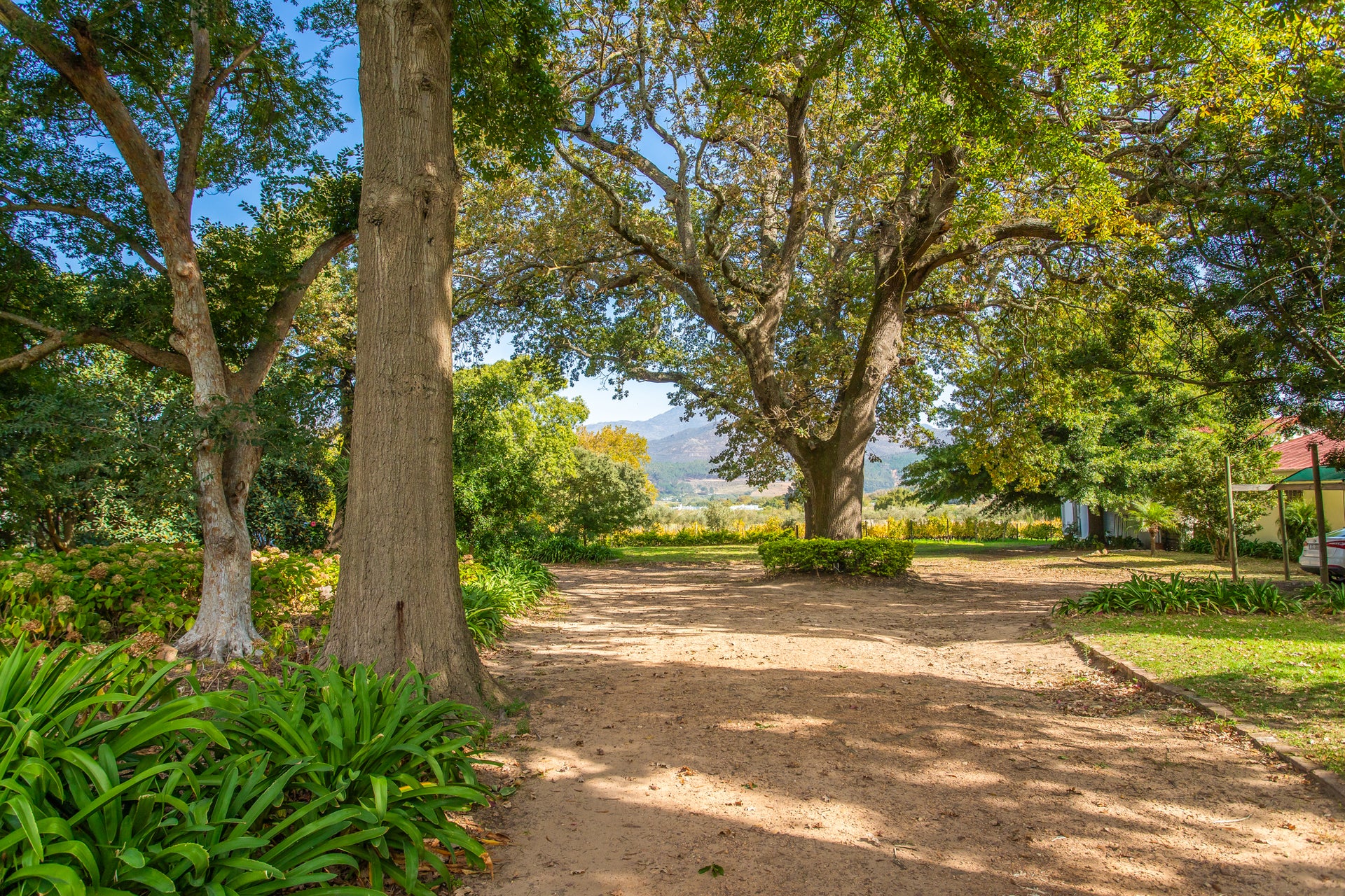 Property 2435378 - Image 10