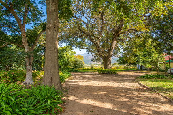 Property 2435378 - Image 10