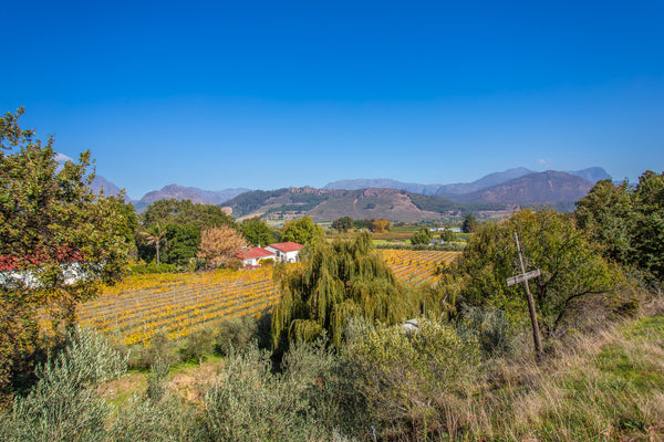 Property 2435378 - Image 25