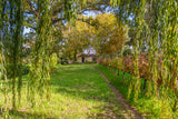 Property 2435378 - Image 35