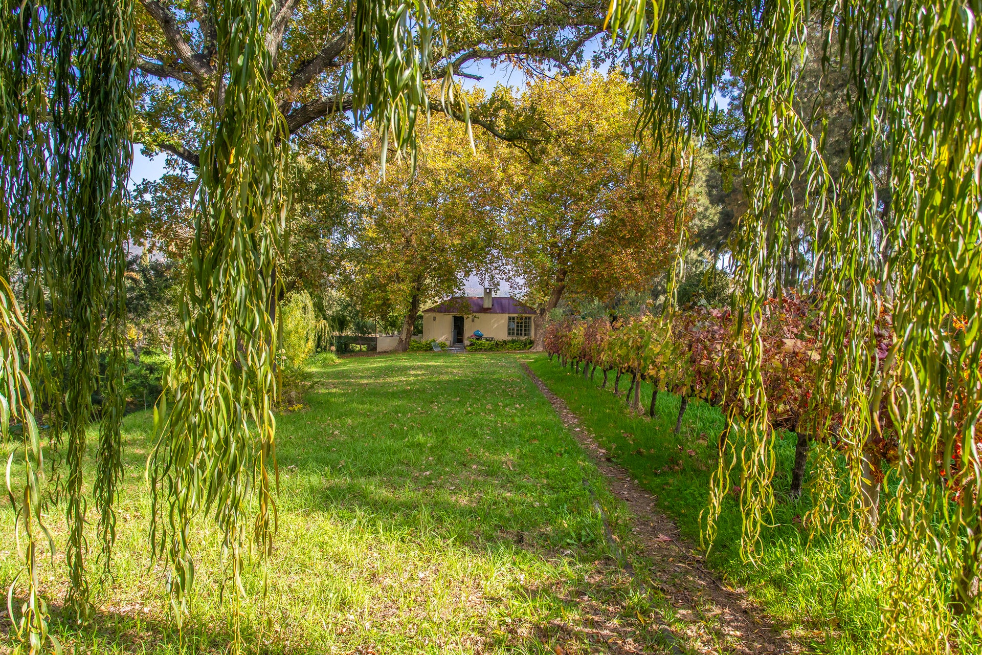 Property 2435378 - Image 35