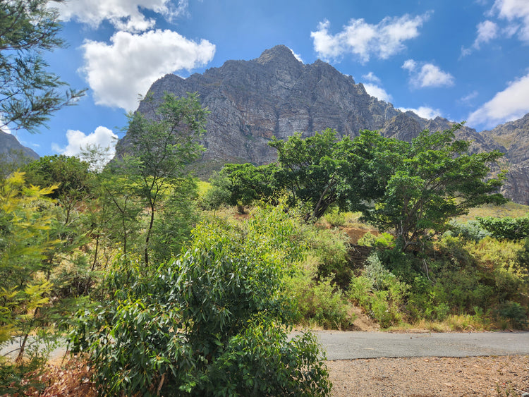 Property 246548 - Image 1