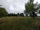 Property 2465903 - Image 3