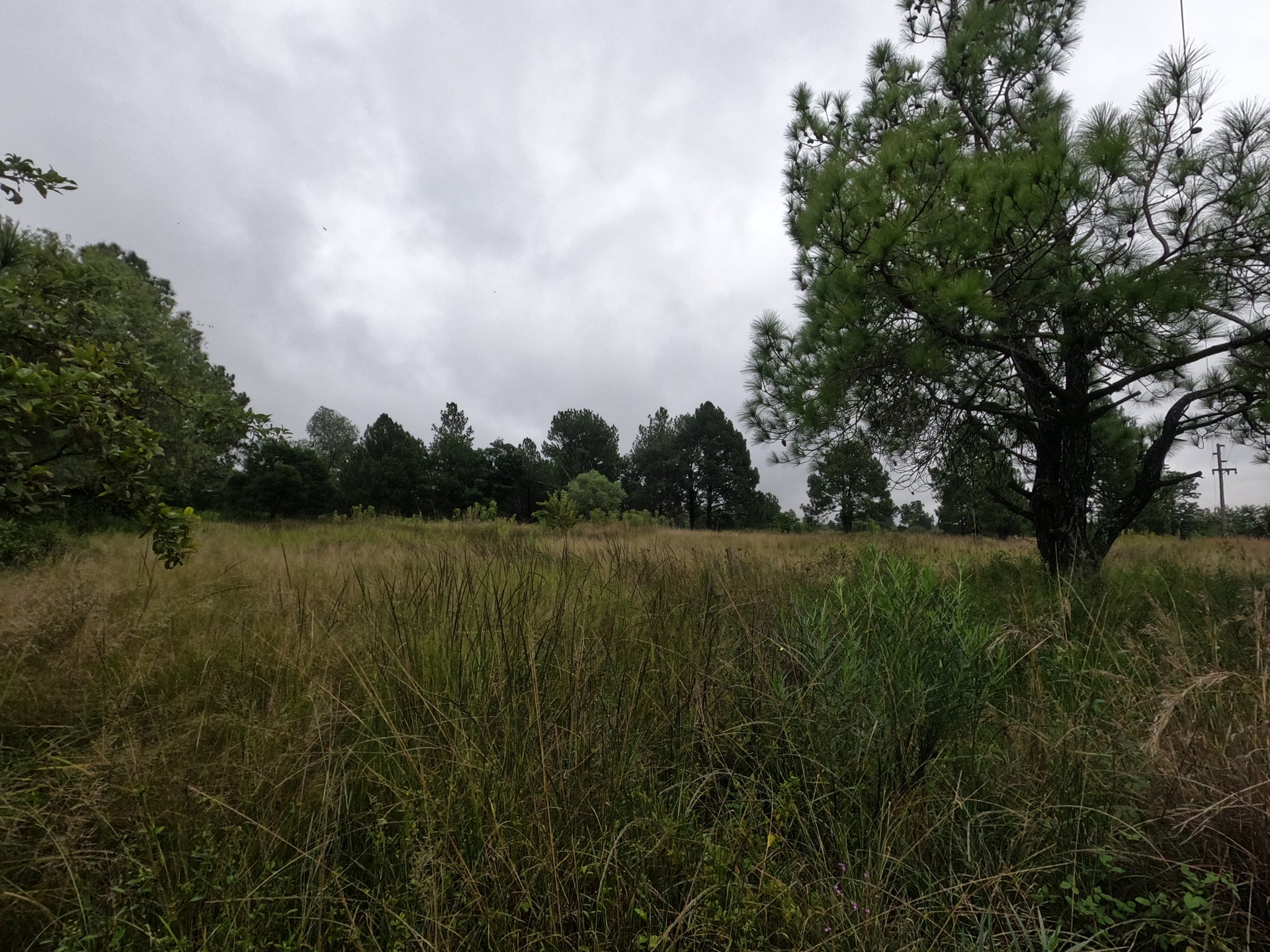Property 2465903 - Image 3