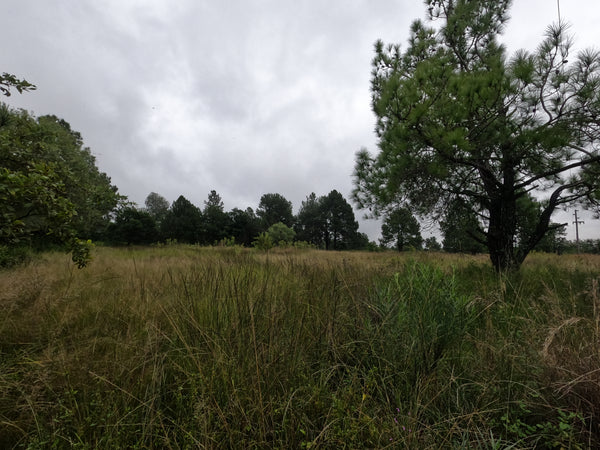 Property 2465903 - Image 3