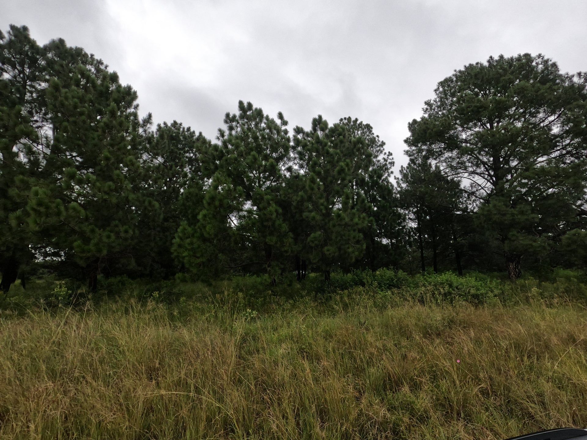 Property 2465903 - Image 5