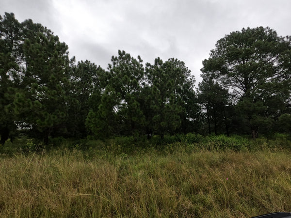 Property 2465903 - Image 5