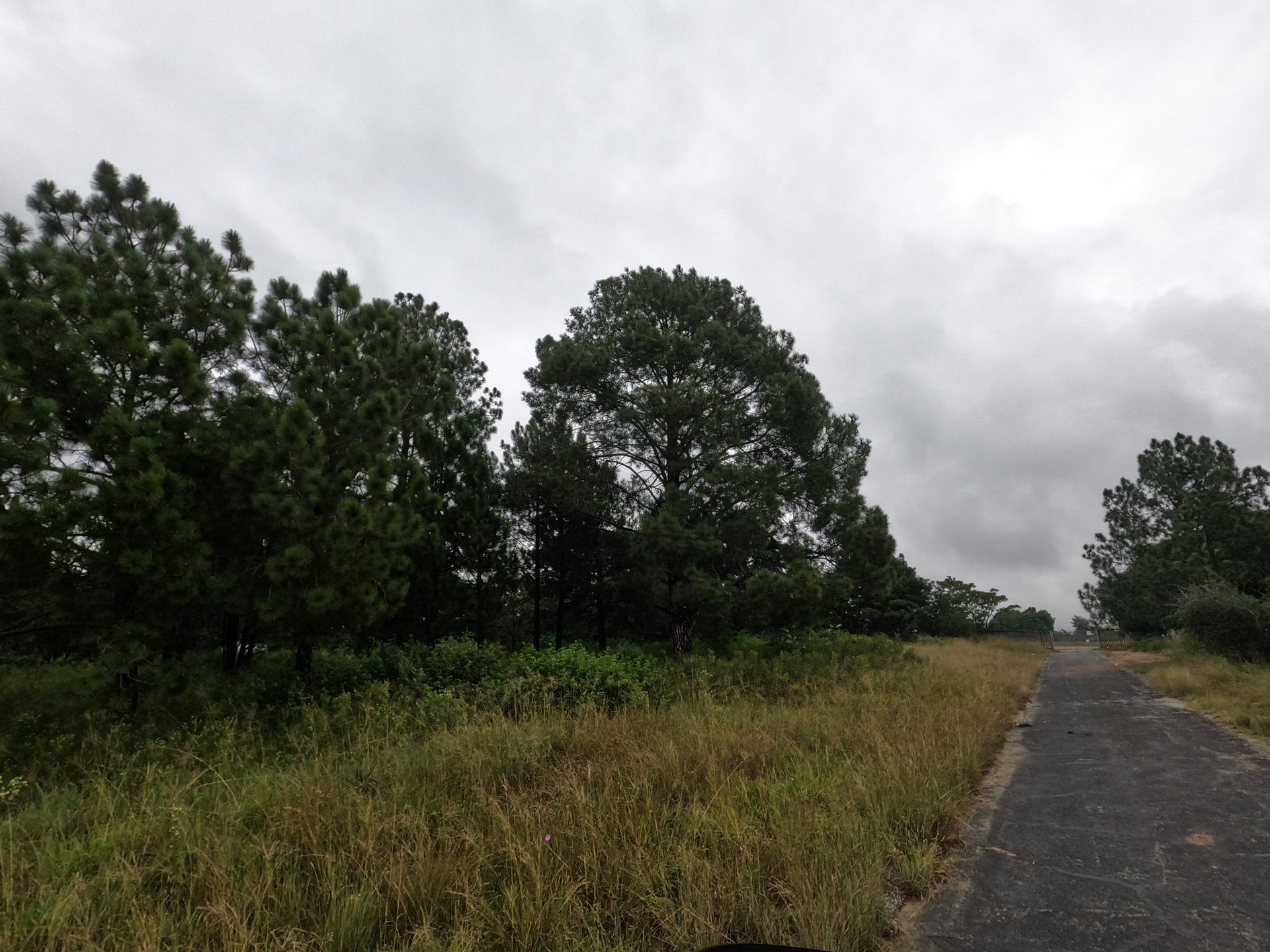 Property 2465903 - Image 6