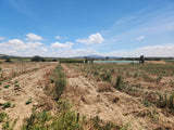 Property 247998 - Image 12