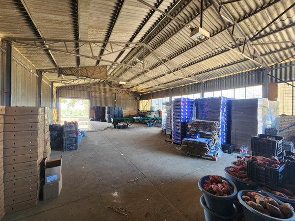 Property 247998 - Image 3
