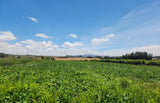 Property 247998 - Image 5