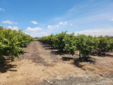 Property 247998 - Image 6
