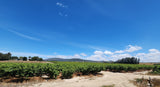 Property 247998 - Image 9