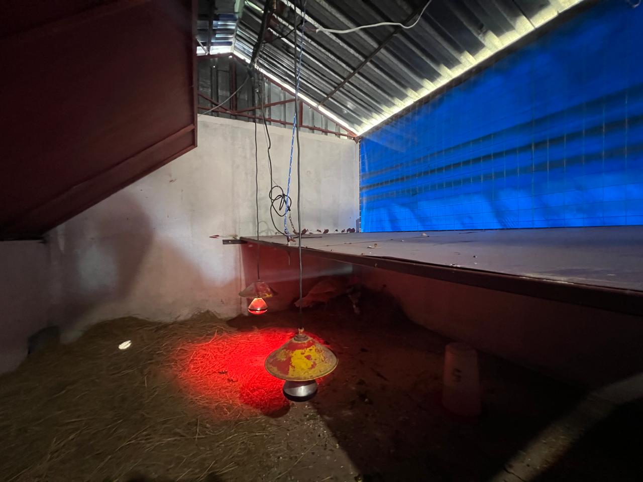 Property 2498607 - Image 111