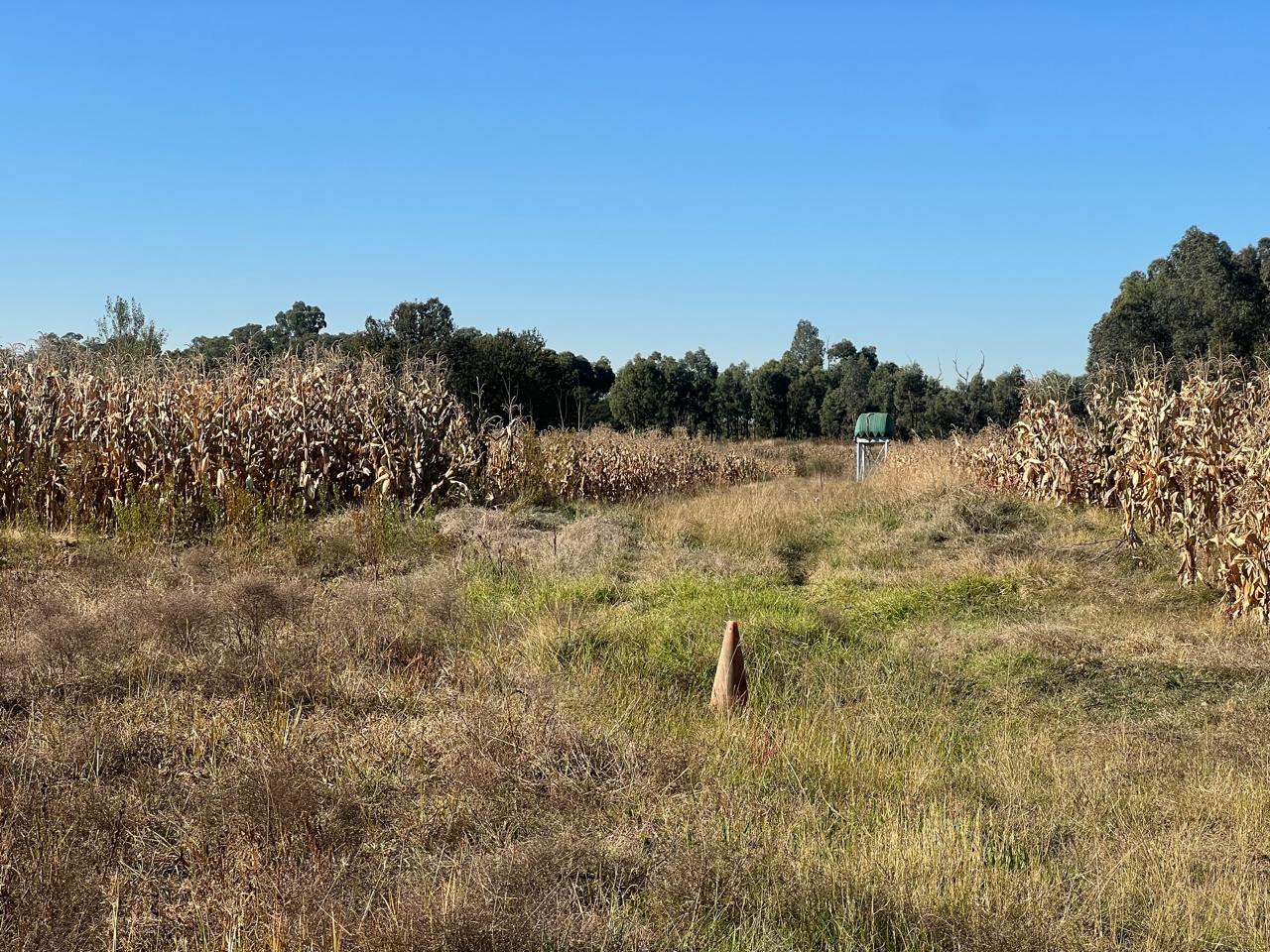 Property 2498607 - Image 147