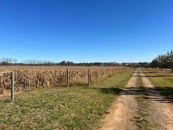 Property 2498607 - Image 148