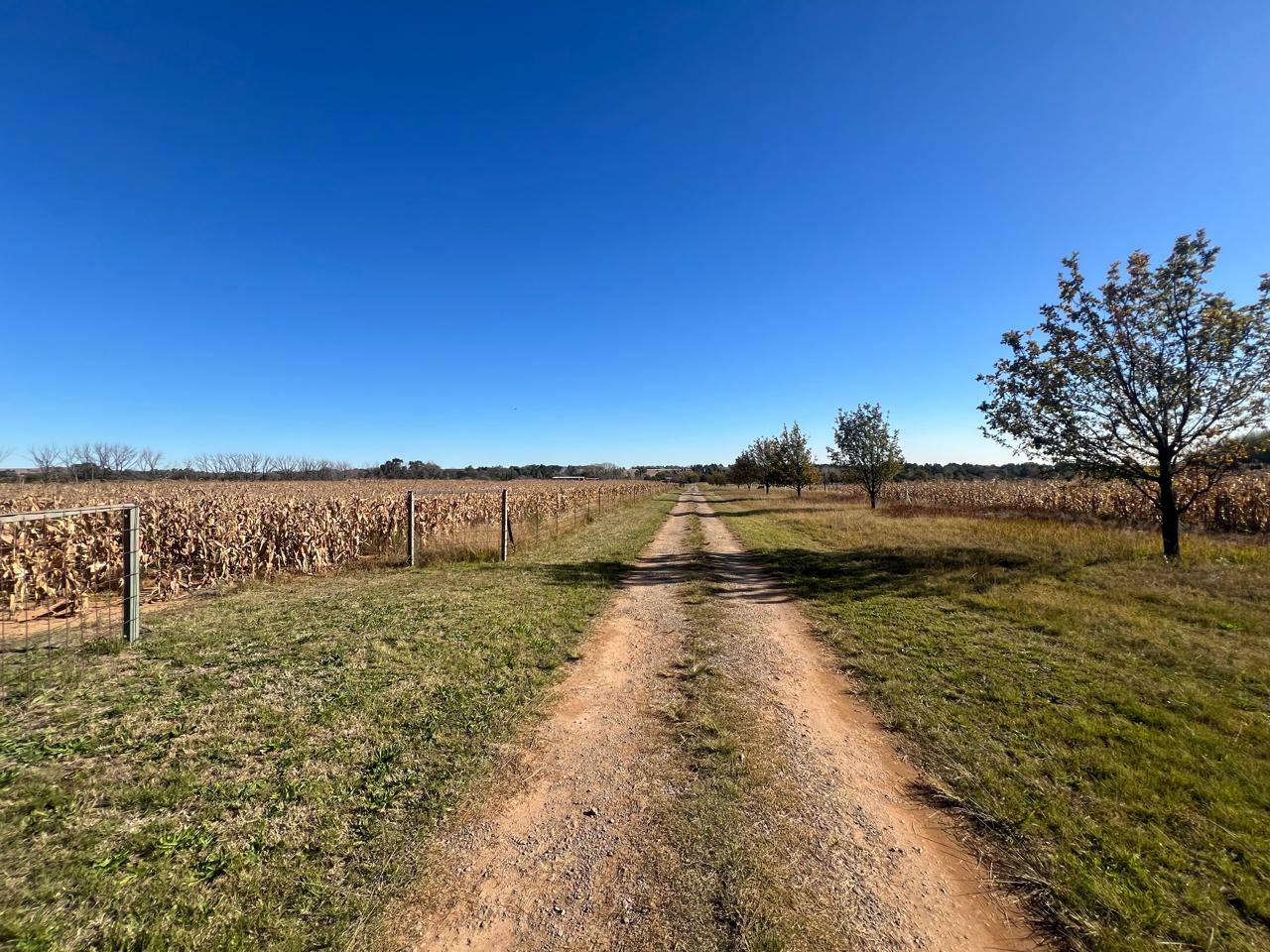 Property 2498607 - Image 149