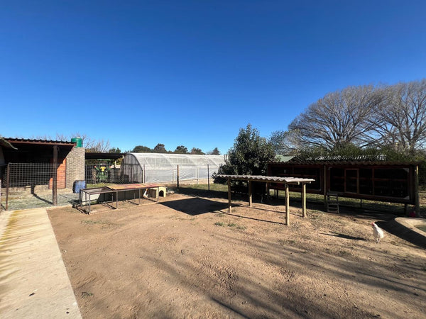 Property 2498607 - Image 158